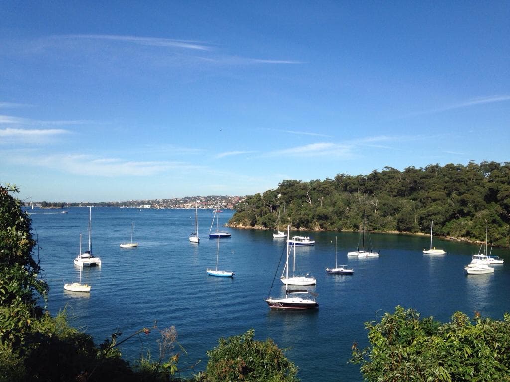 Bradley's Head Amphitheatre