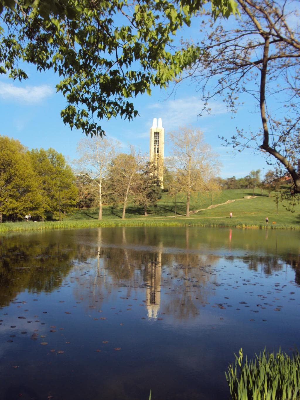 Potter Lake - Summer