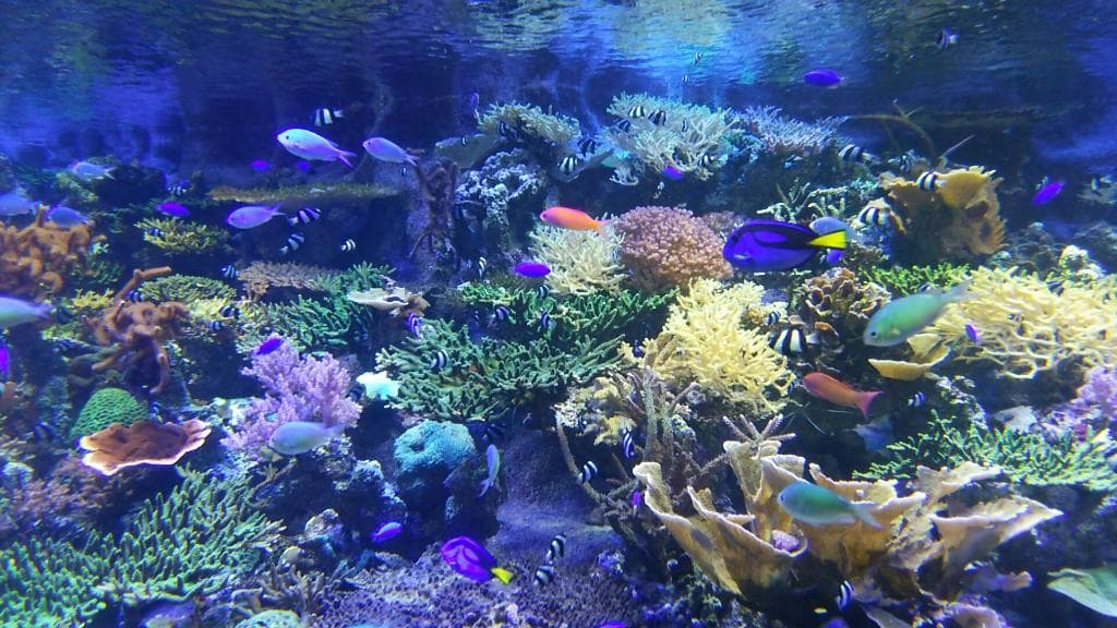 Nagoya Public Aquarium