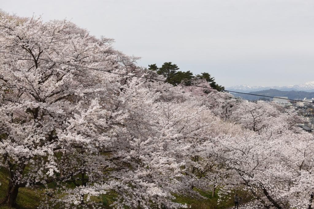 Eboshiyama Park