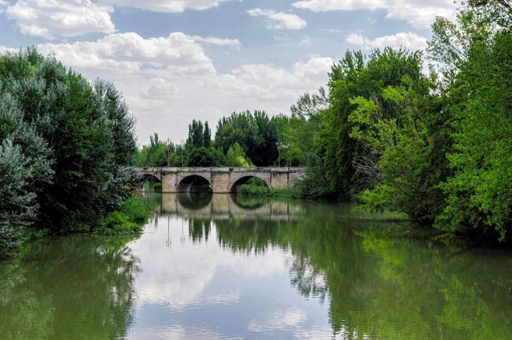 Puente Mayor, Palencia. (Agosto-2015)