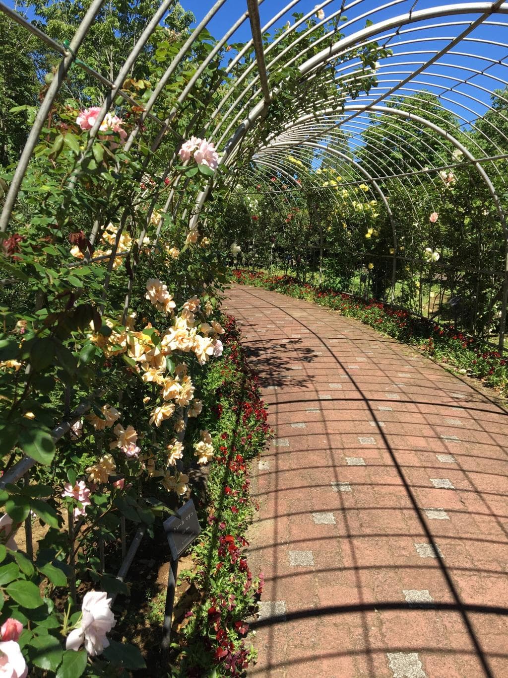 千葉市都市緑化植物園