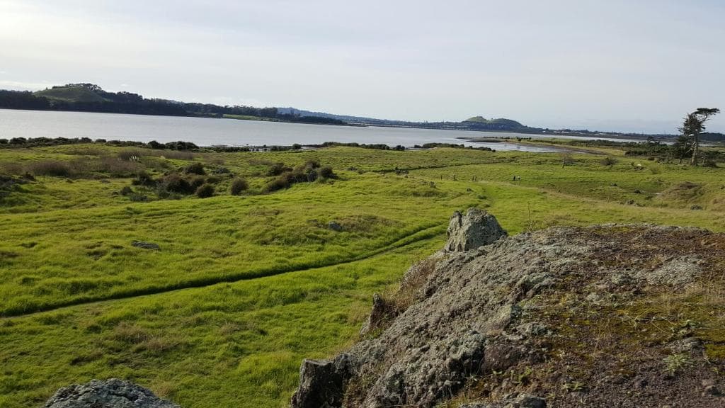 Ōtuataua Stonefields Historic Reserve Auckland