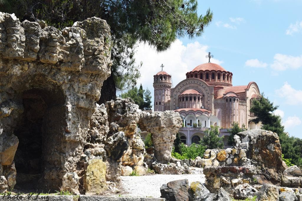 Pasha's Garden