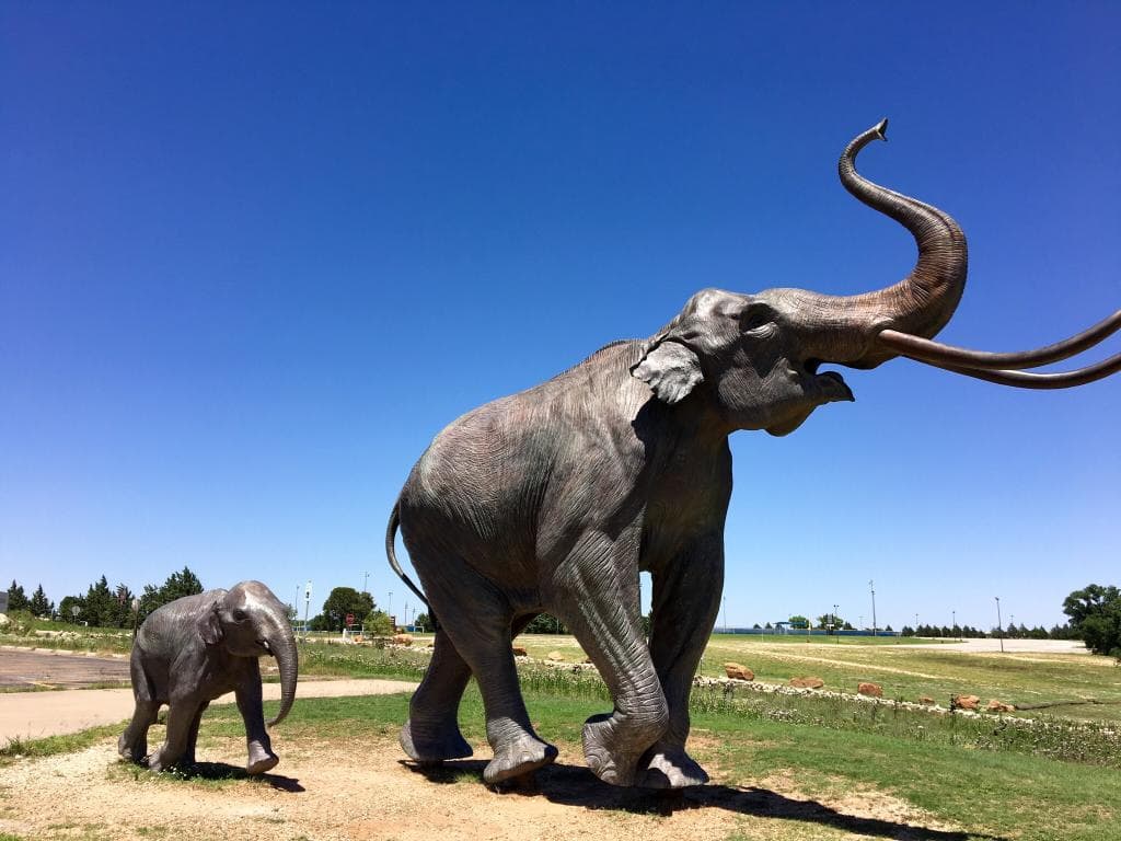 Lubbock Lake Landmark