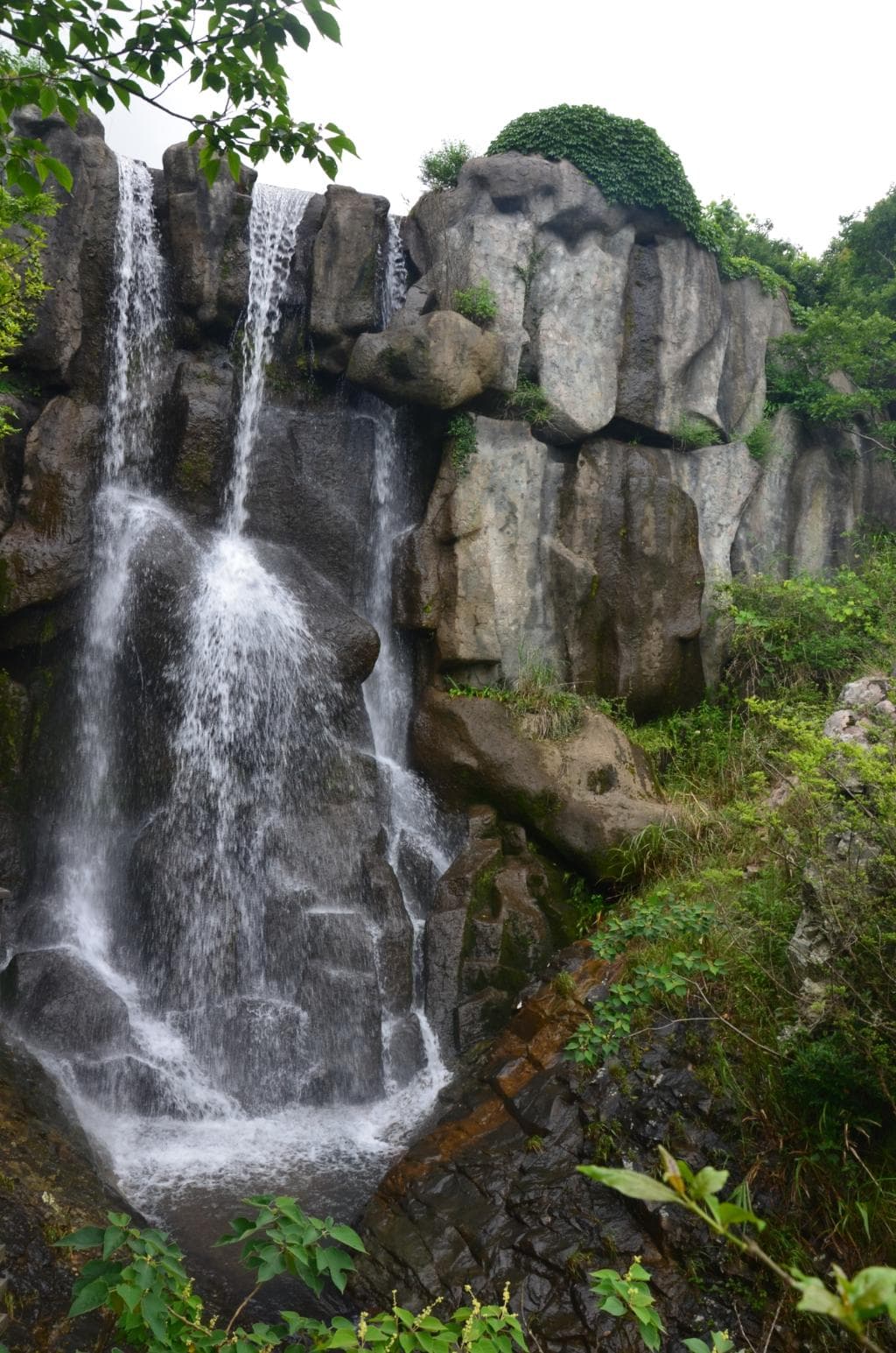 Tao Hua Dao