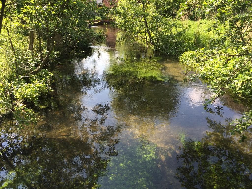 Rooksbury Mill Nature Reserve