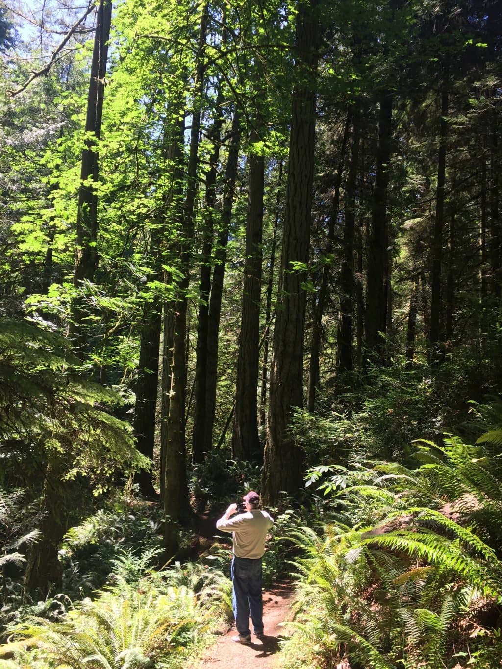 McCormick Forest Park