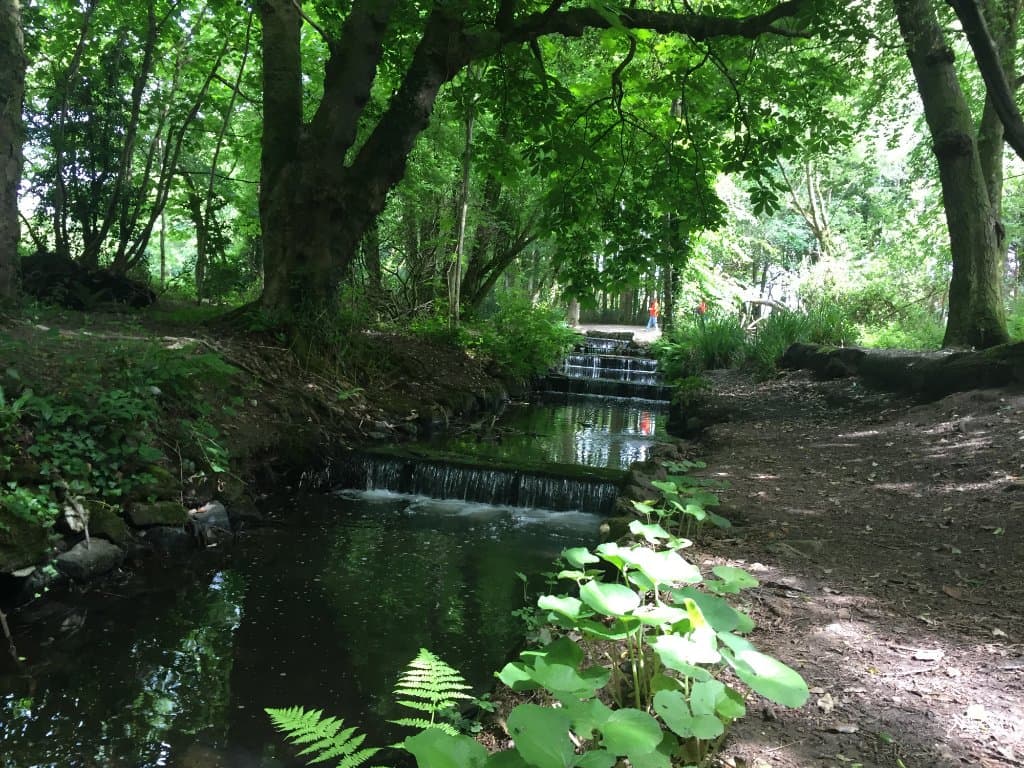 Nice walk