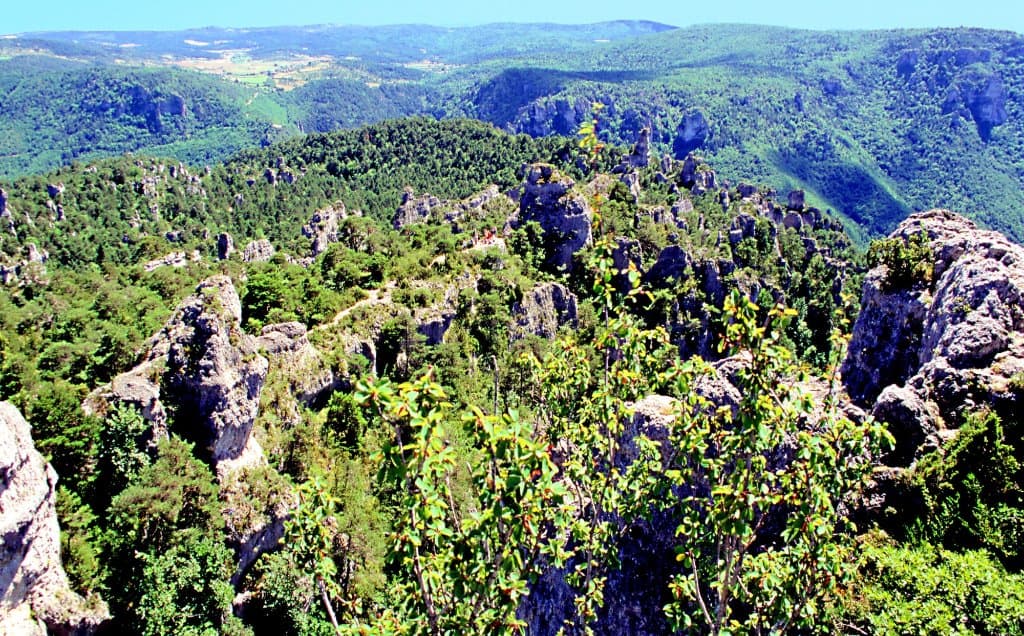 Cité de Pierres Montpellier-le-Vieux