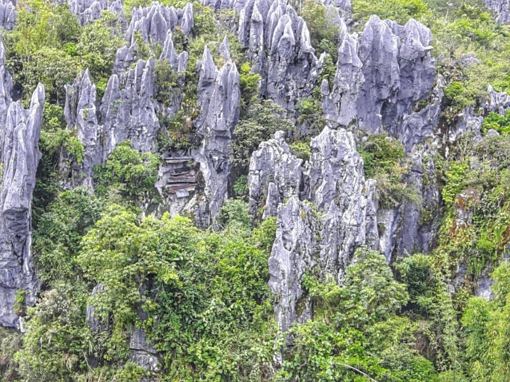 Hanging Coffins Sagada Echo Valley