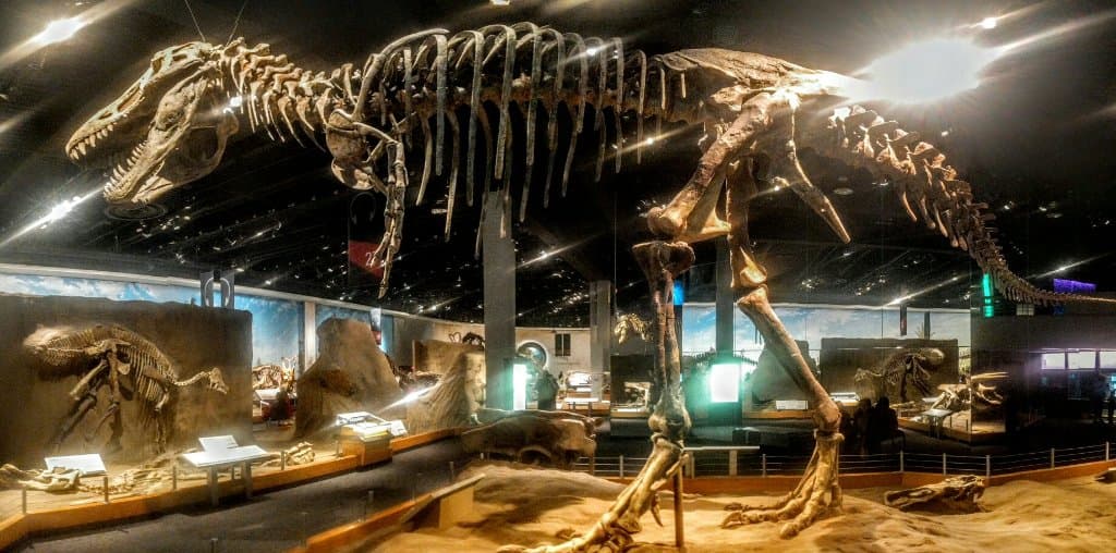 One of biggest dinosaur museums I've been to