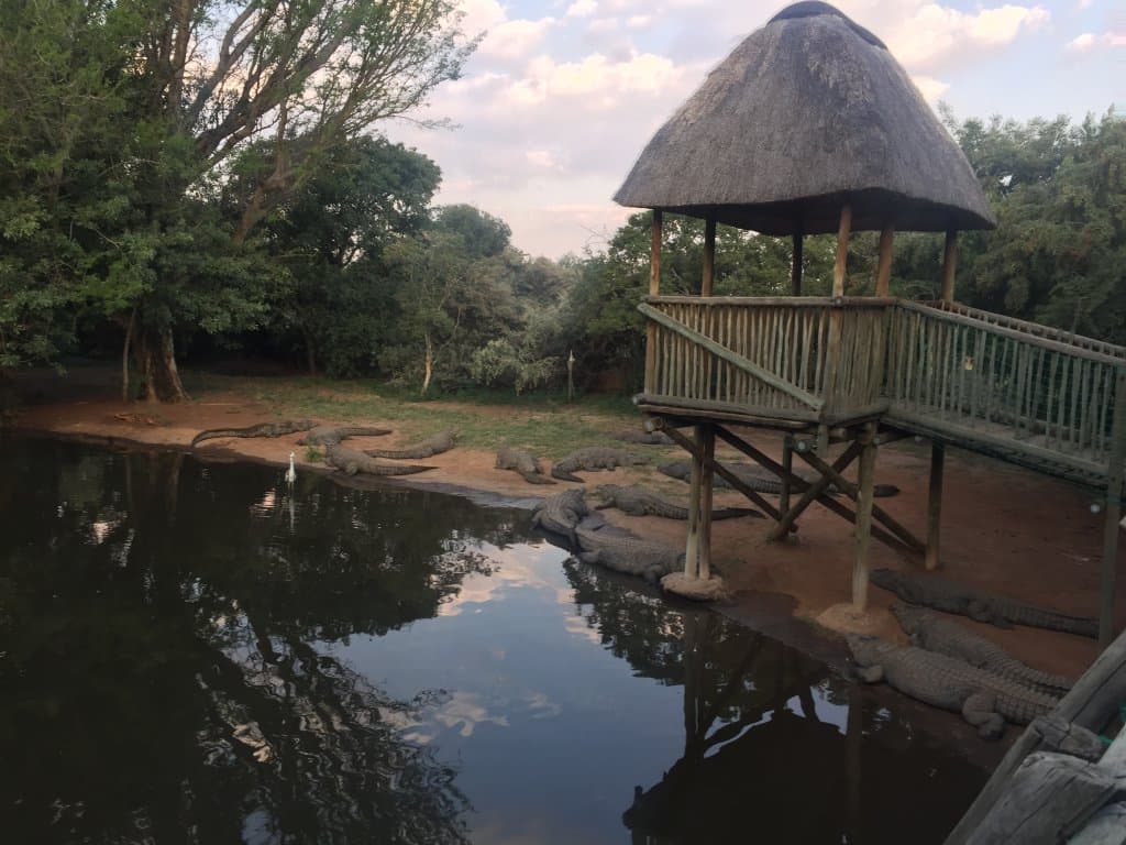 Kwena Gardens Crocodile Sanctuary