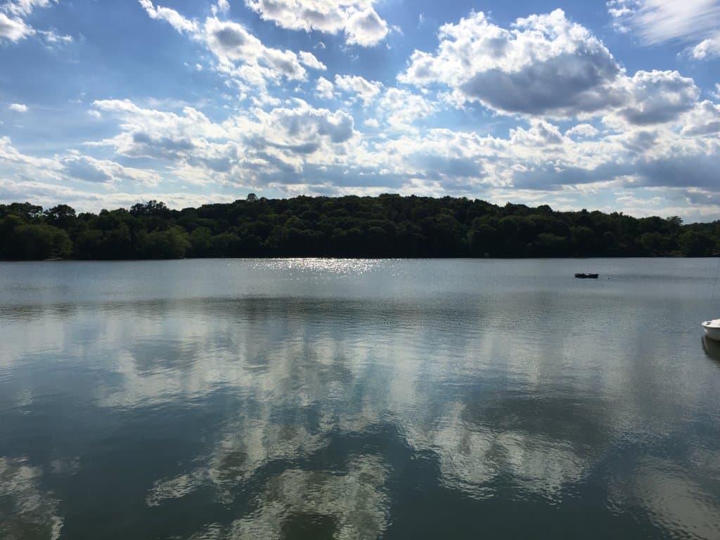 Jamaica Pond from the south end.
