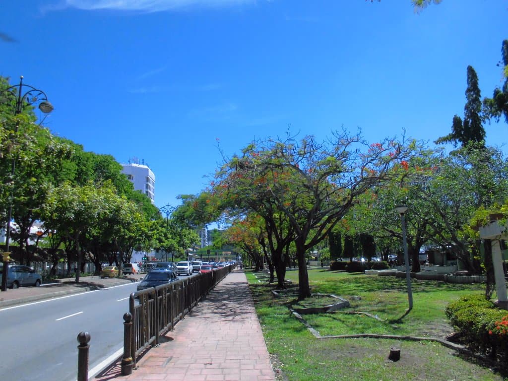 海に沿った道の脇