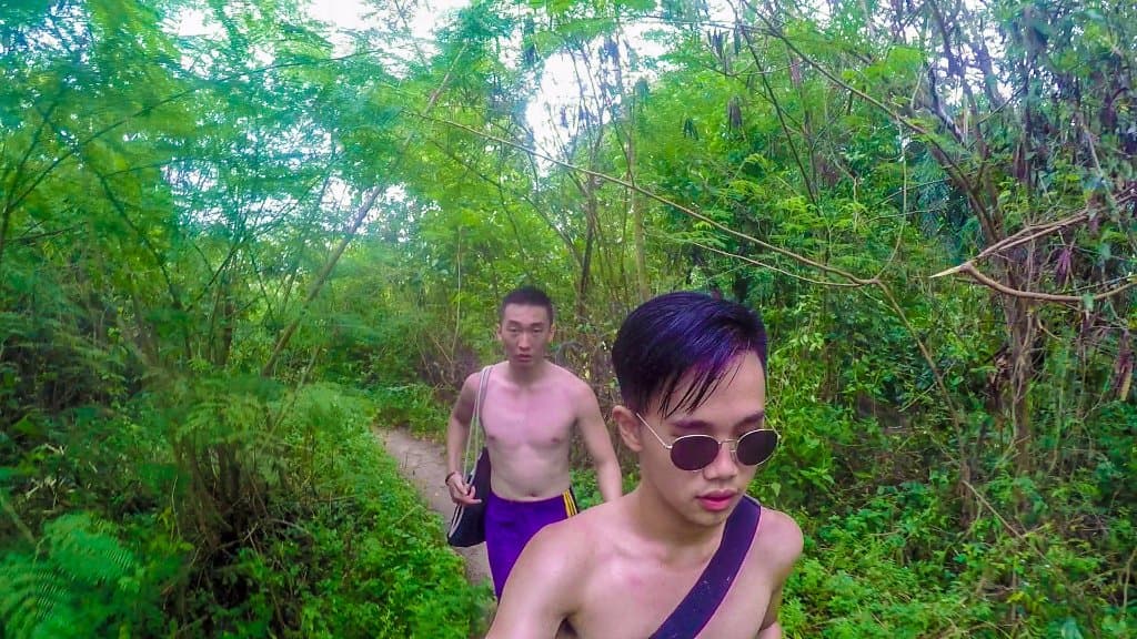 through forest