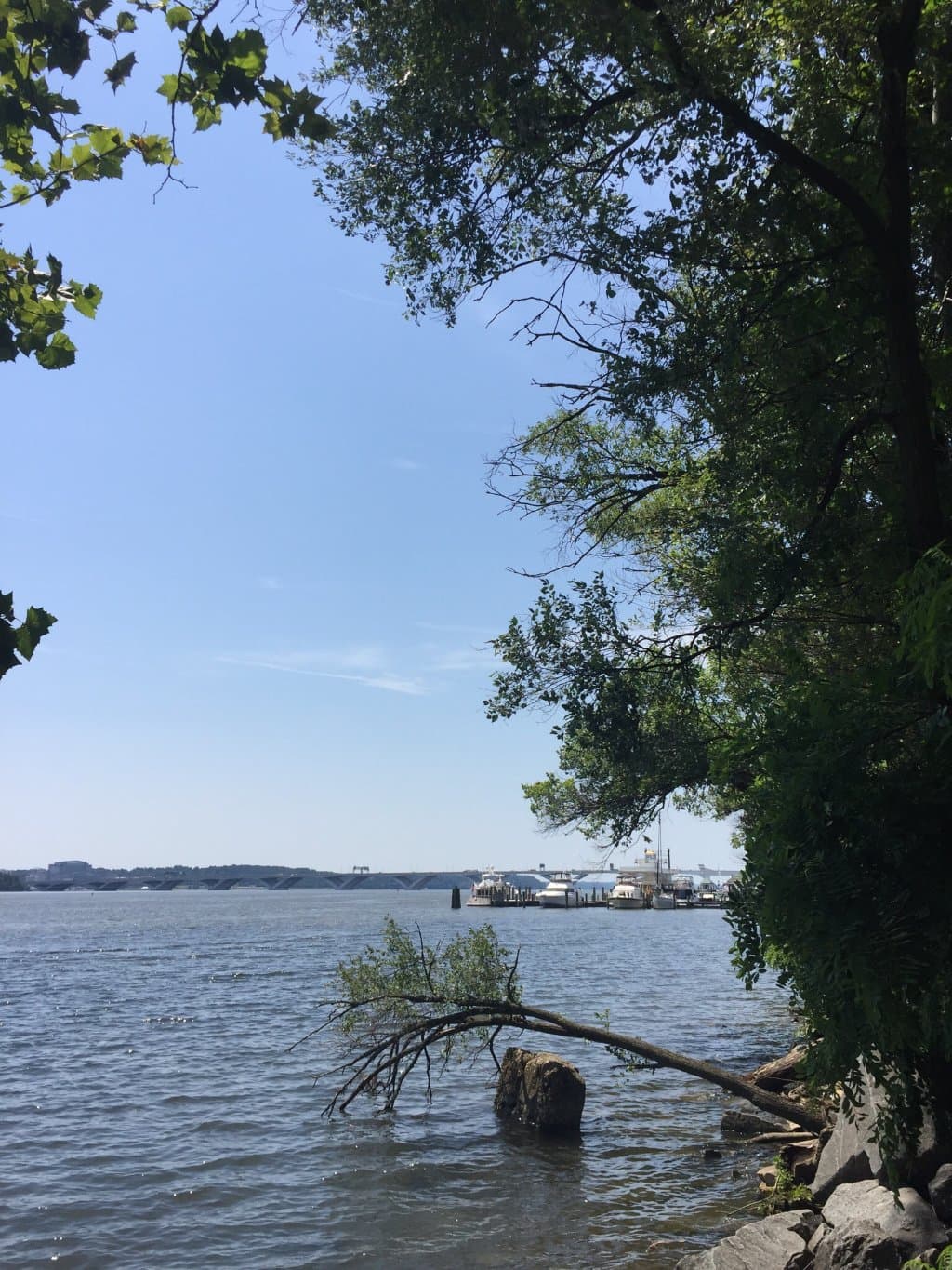 Founders Park