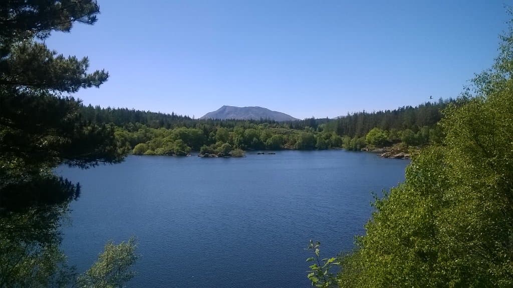Llyn Elsi