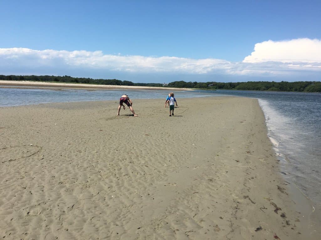 Demarest Lloyd State Park
