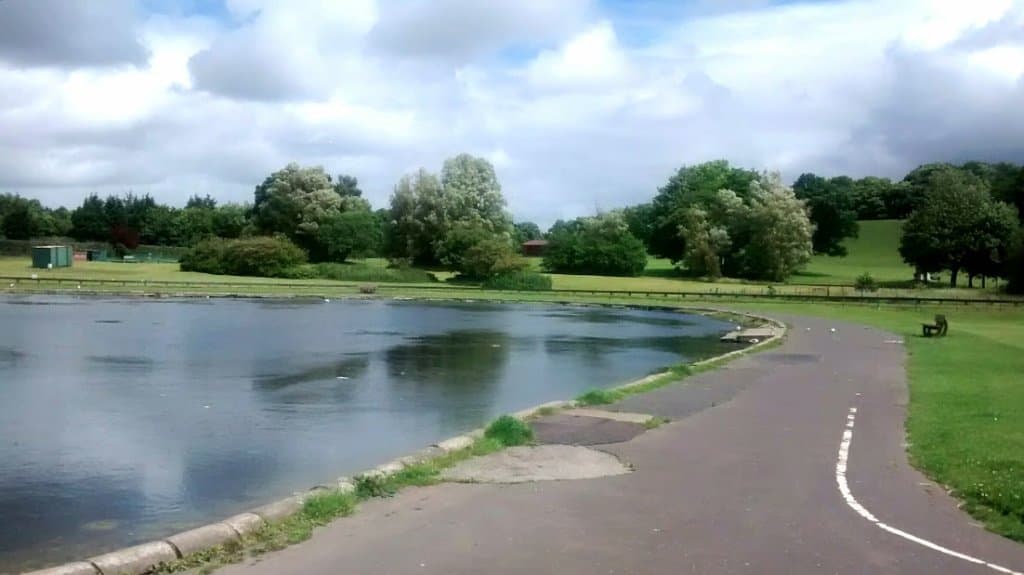 The lake