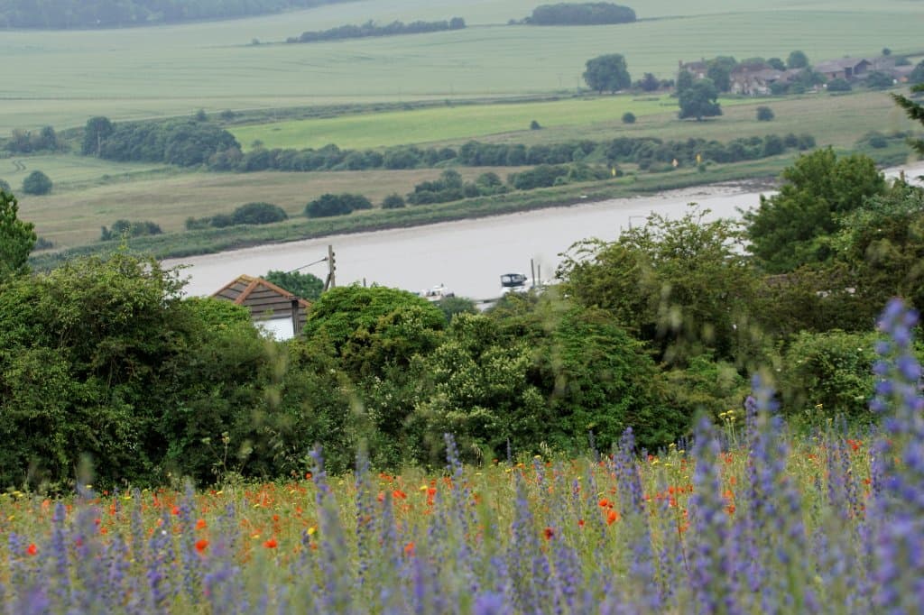 view