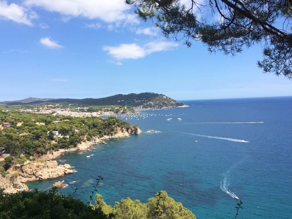 View from the garden