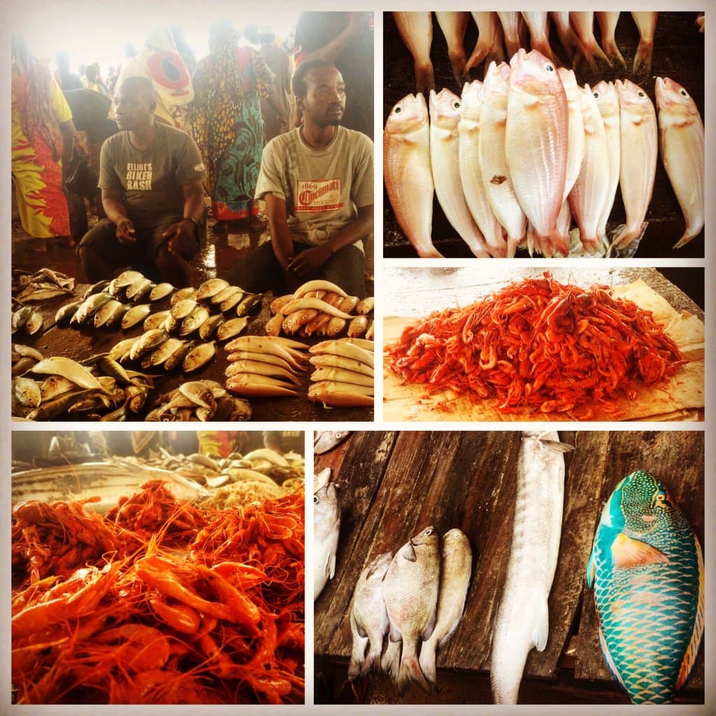 Fresh Catch of the Day