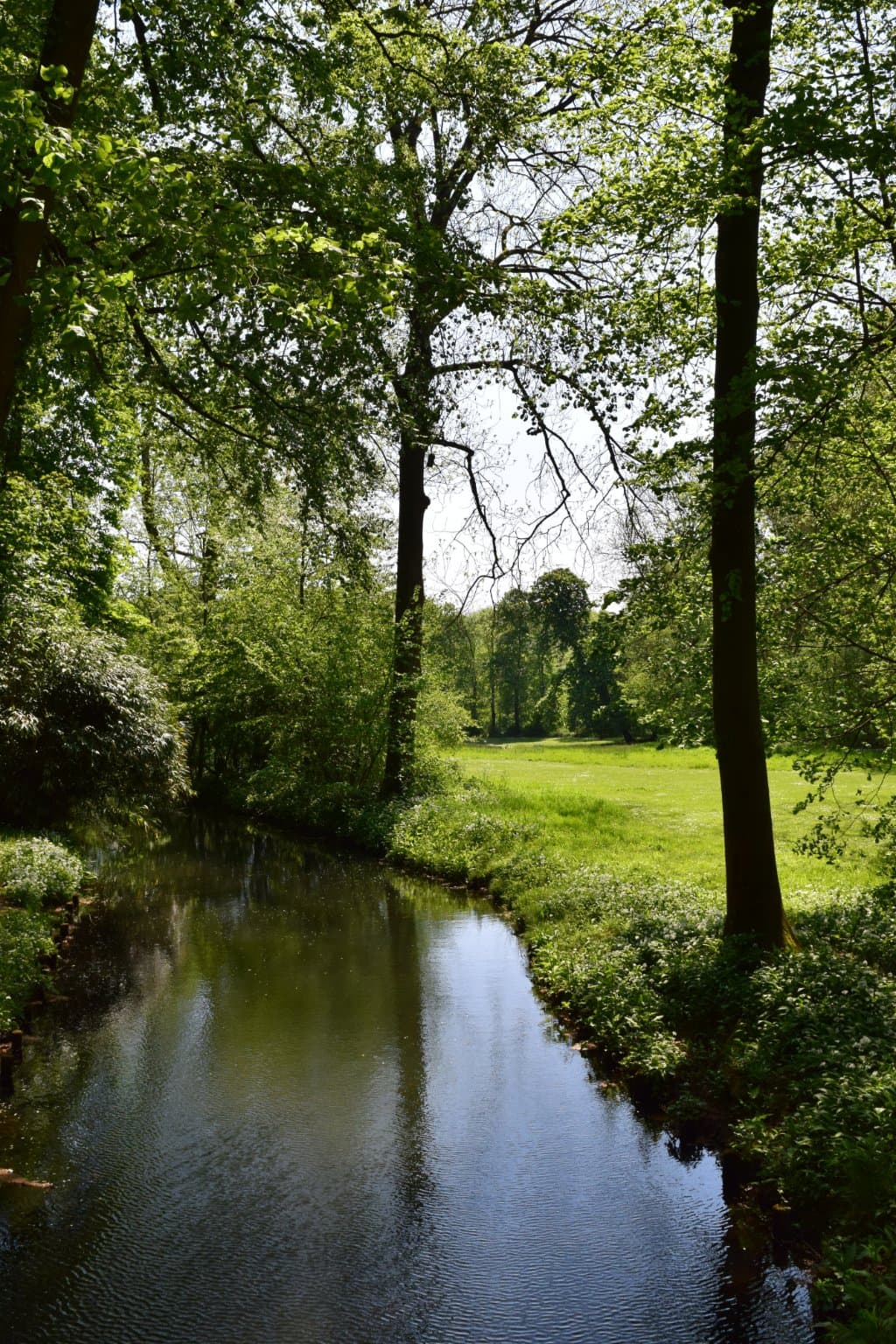 Molenbeek in het Koning Boudewijnpark fase I, Jette