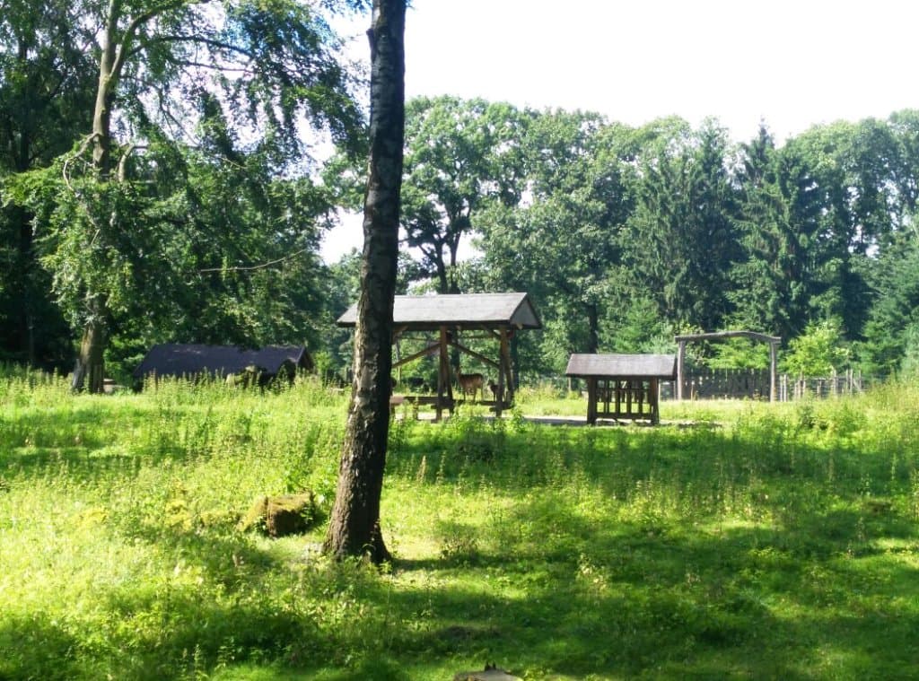 Schöner park in mitten einer stadt. Super zum spazieren gehen und entspannen