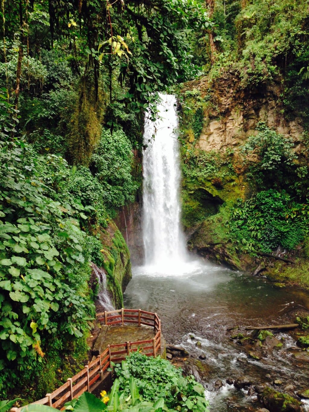 One of many falls!