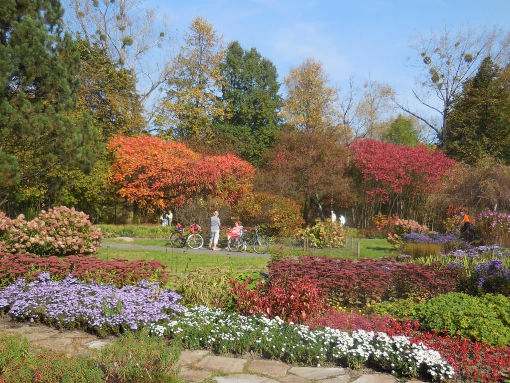 Rosarium Silesian Park