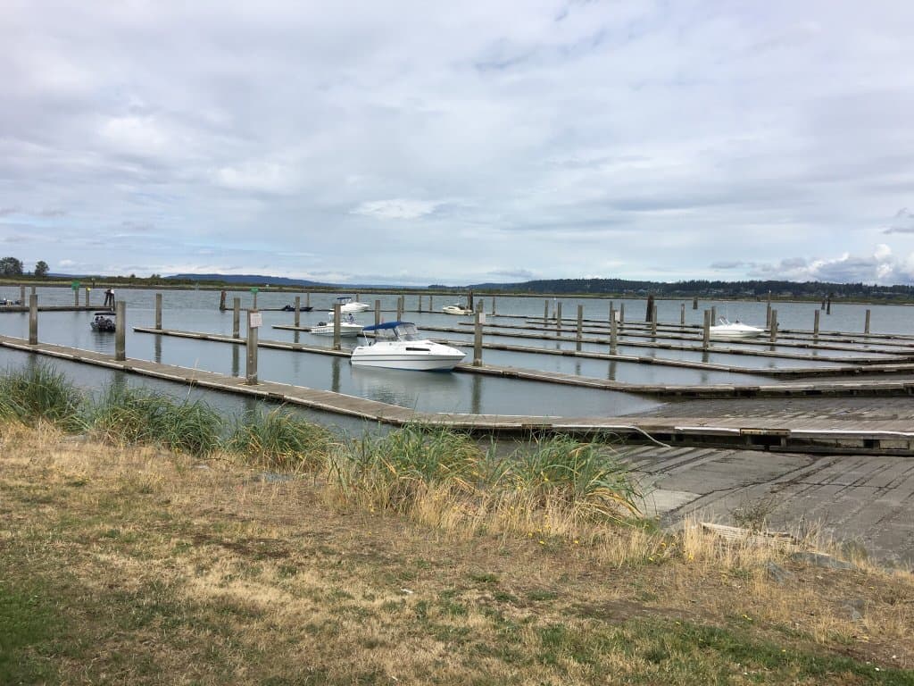 Jetty Island