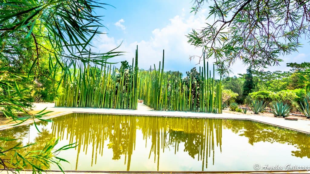 Ethnobotanical Garden