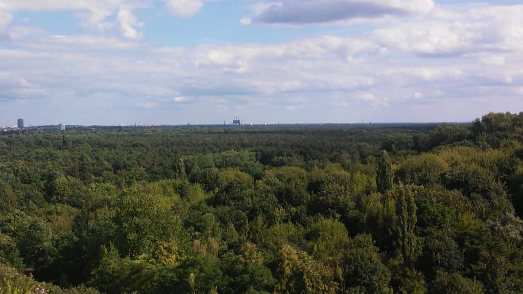 Drachenberg Aussicht