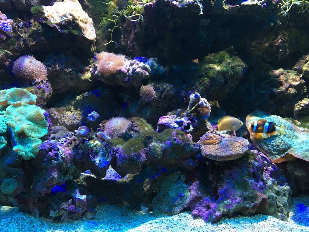 Underwater World Langkawi