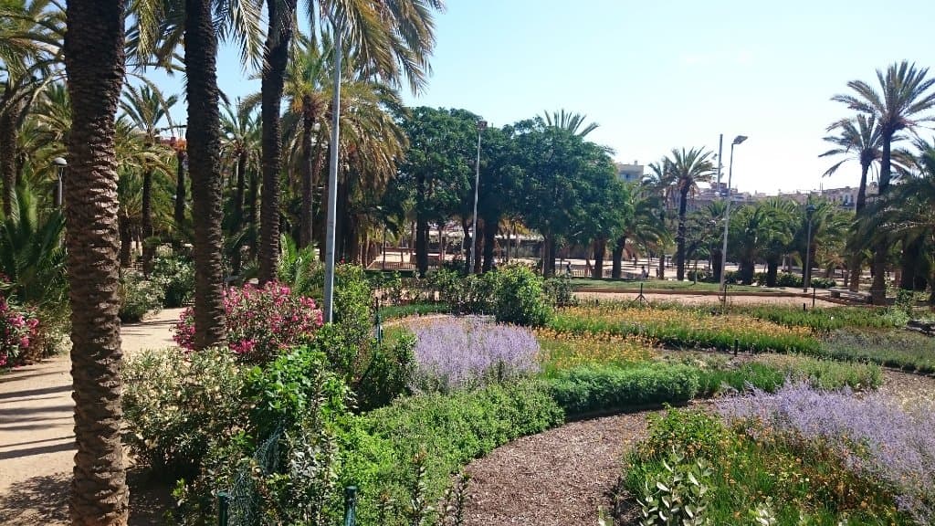 Parque