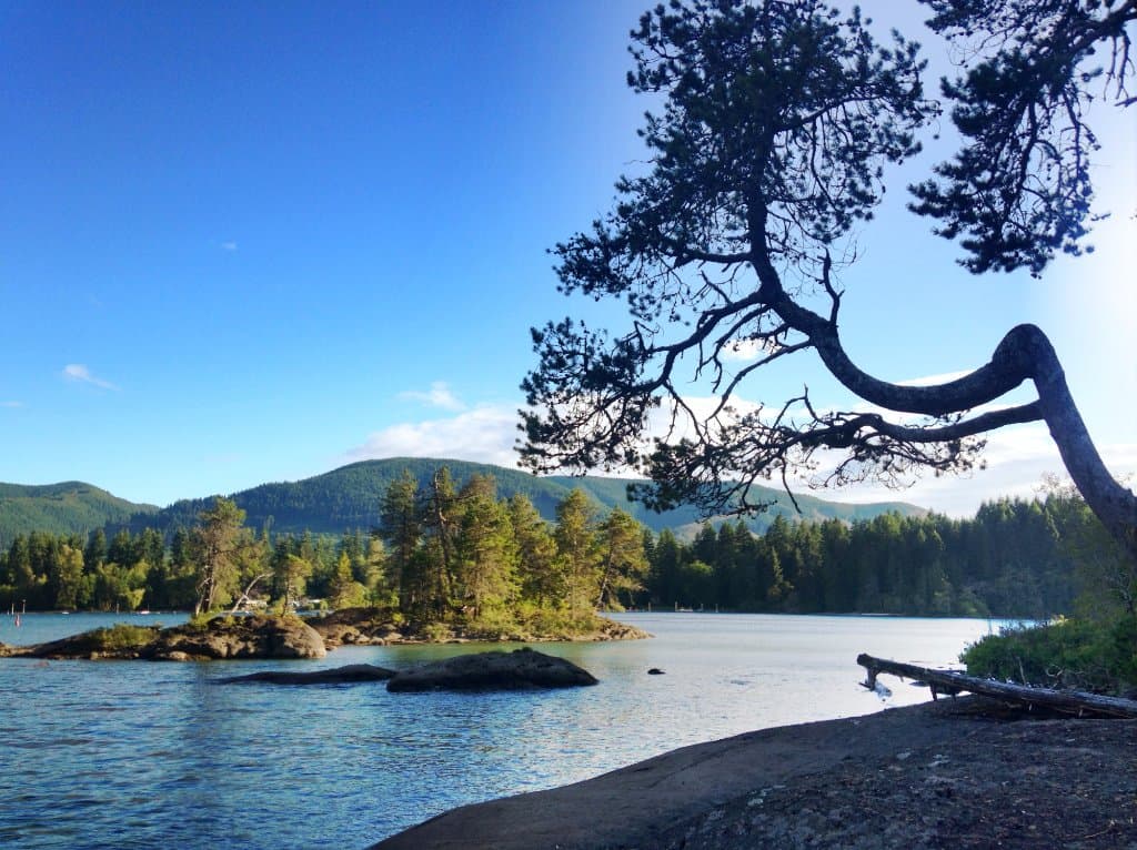 Cowichan River Provincial Park