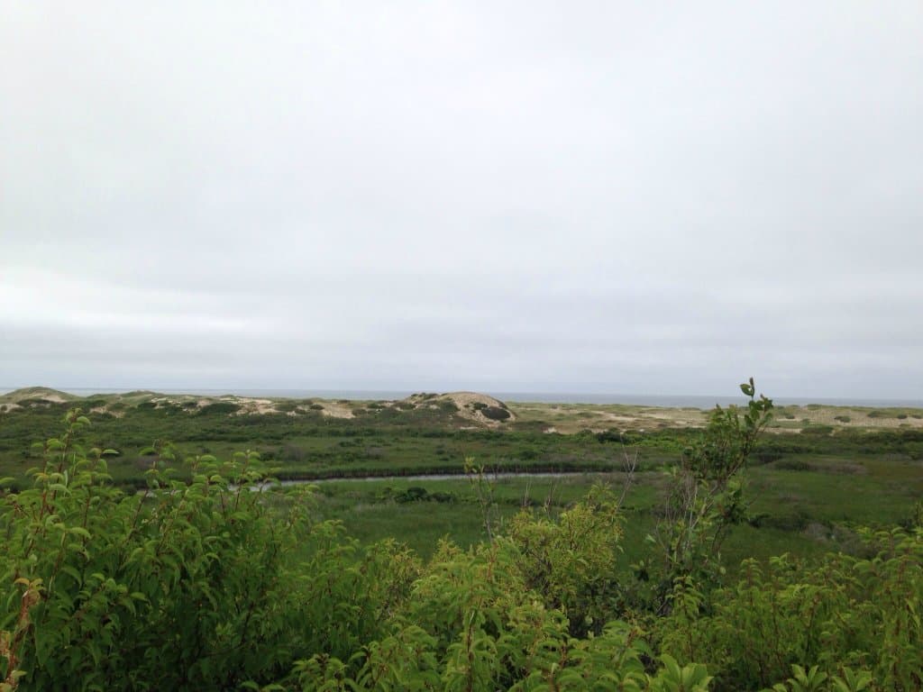 Pilgrim Spring Trail