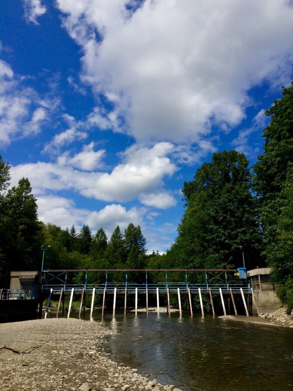 Quinsam Salmon Hatchery