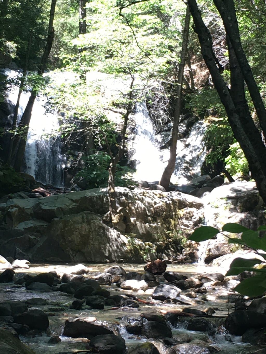 Brandy Creek Falls mid July.