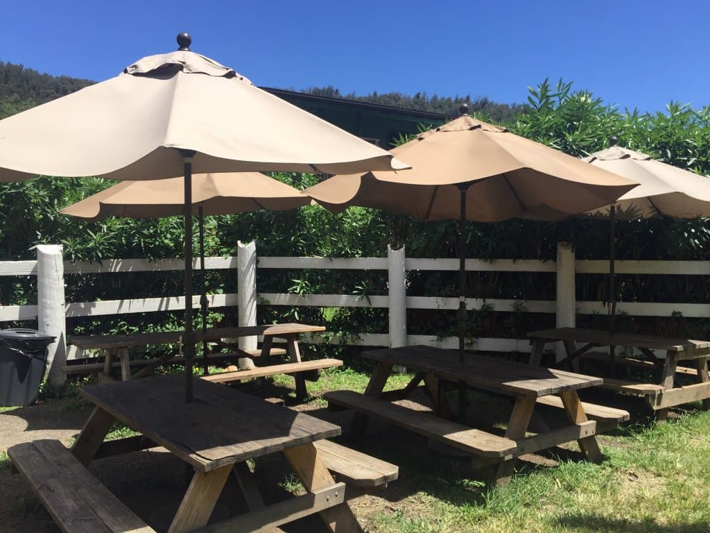 Crispy Grindz Haleiwa