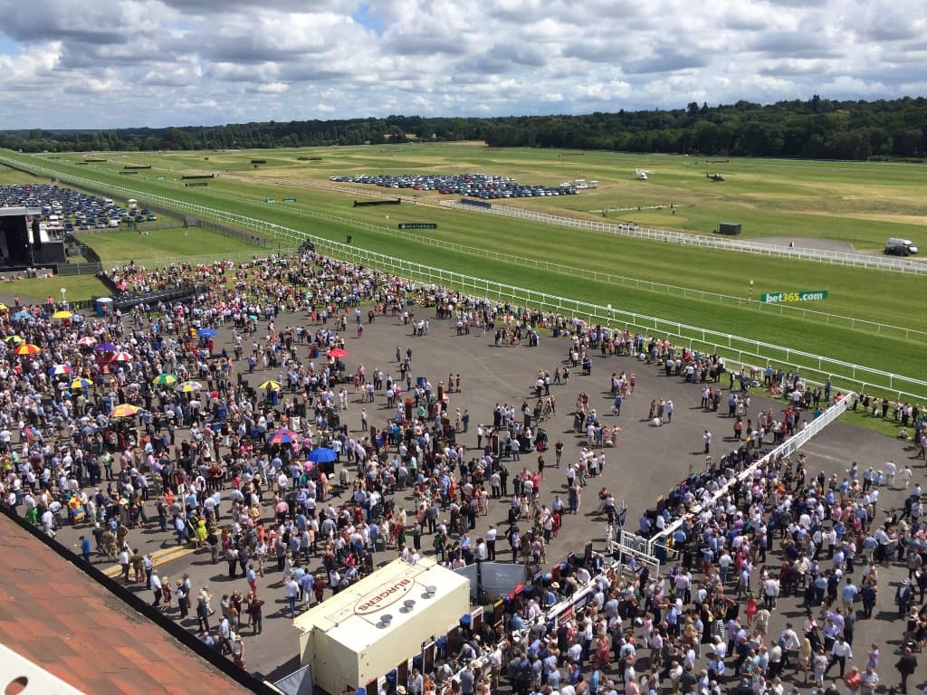 Afternoon races