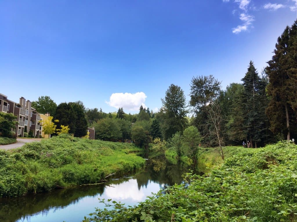 Sammamish River Trail