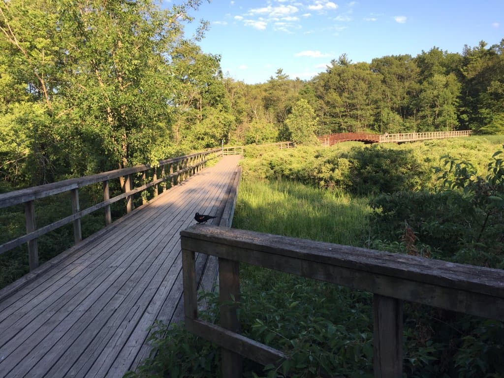 Royal Botanical Gardens Cherry Hill Gate