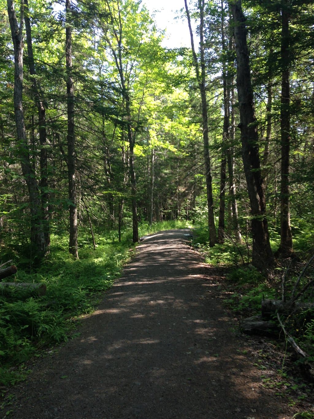 Shaded trails