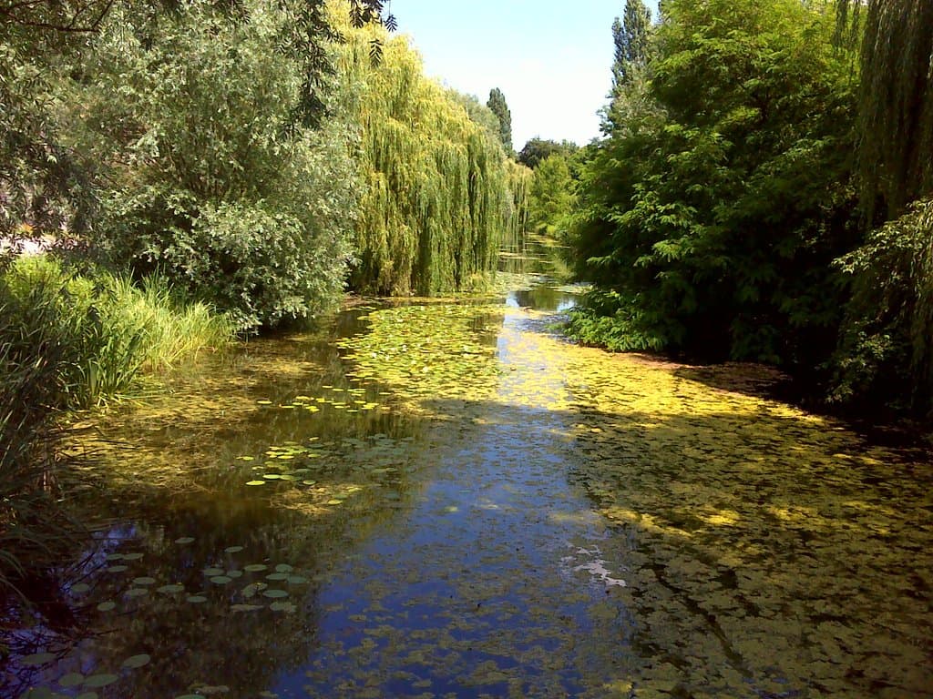 Canal ancho.