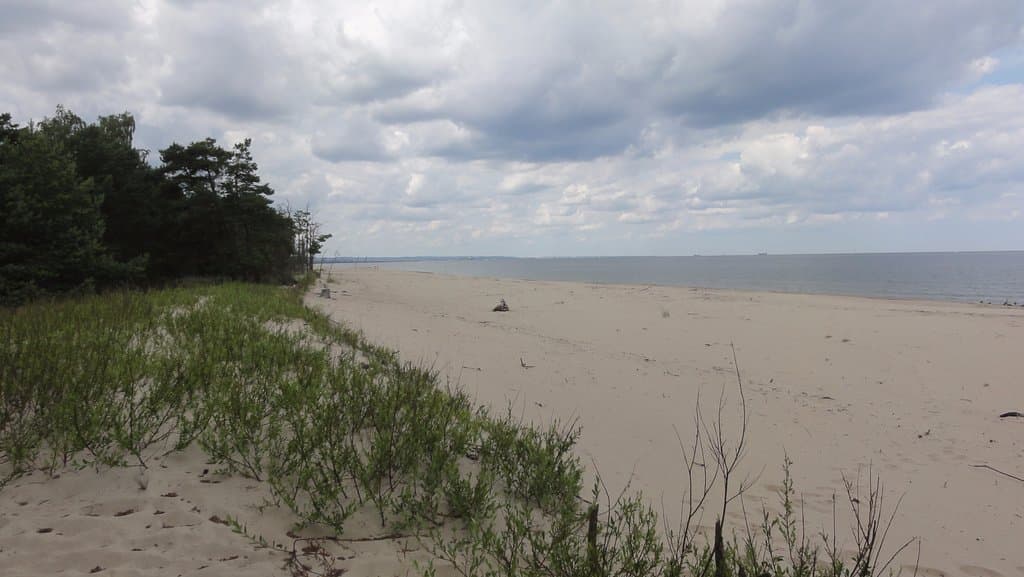 Widok od strony morza