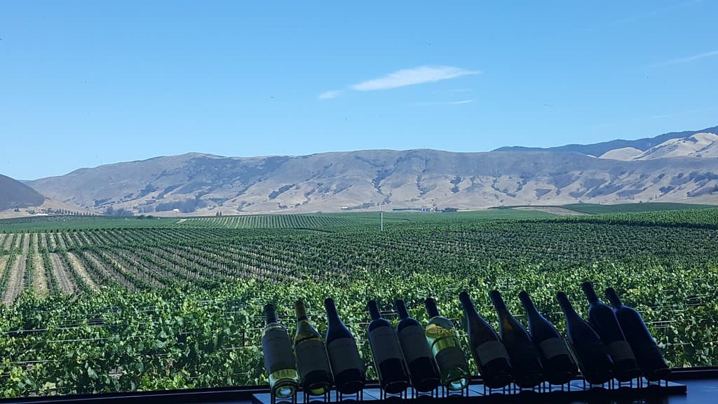 View from the tasting room!