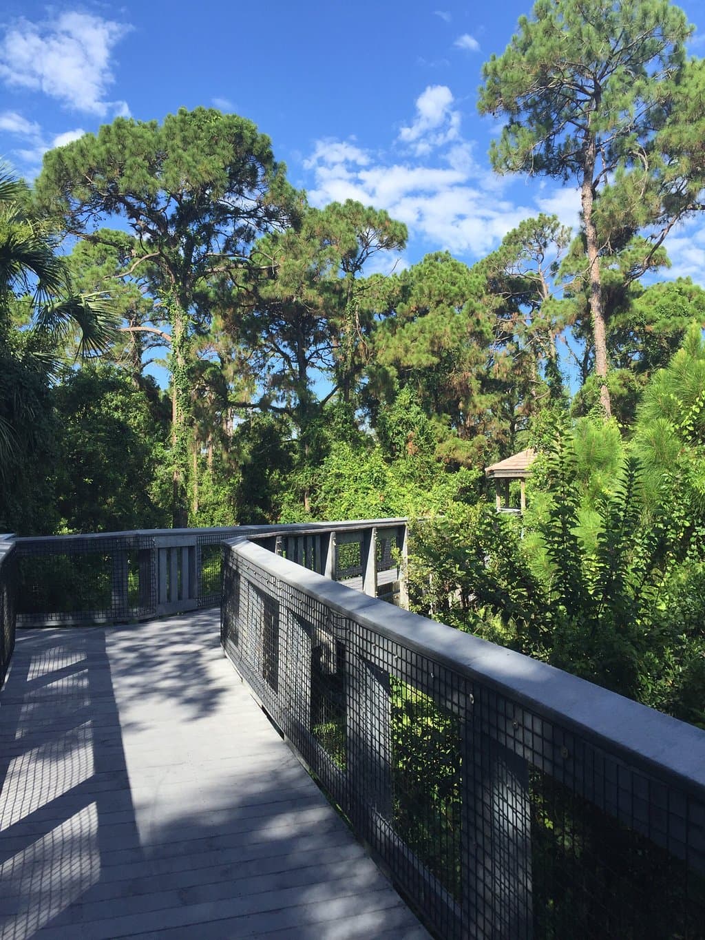 Along the boardwalk