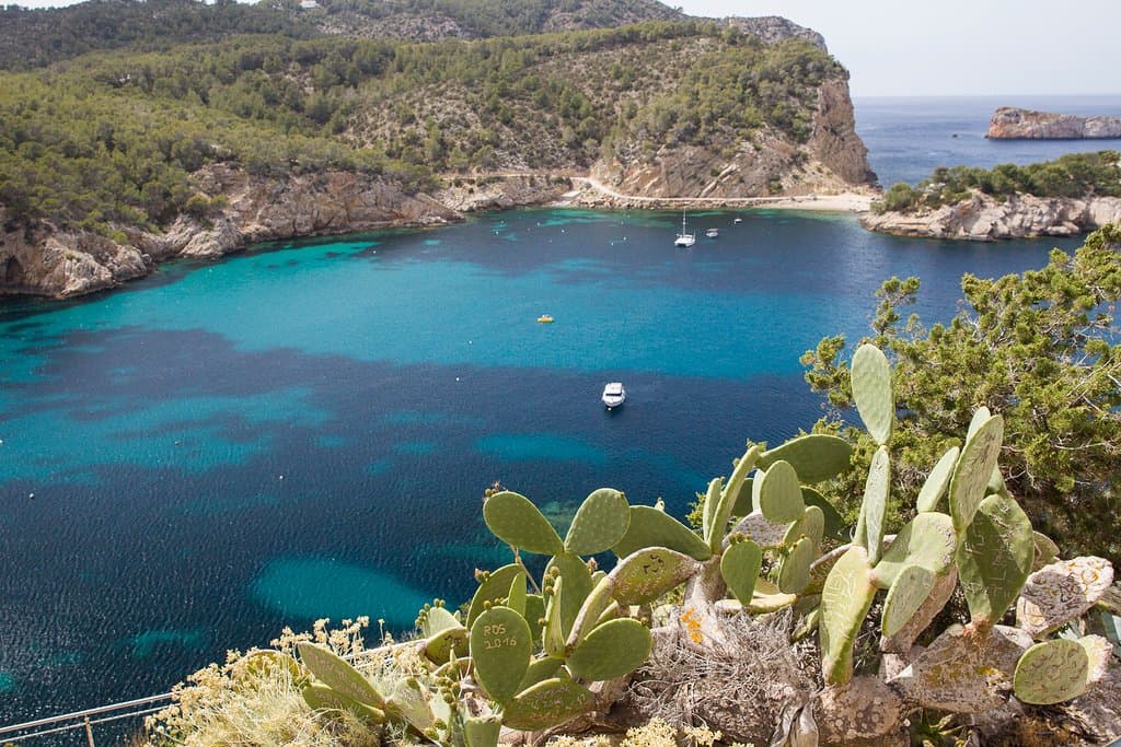 The view from the reception